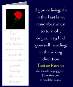 Advice about Living Life in the Fast Lane by Peter Karsten from his book "Be Great Be You" inspired by learning life's lessons the hard way.  Bookmark sized greeting card with inspirational quote on front and back of card. The inside of this gift card has been left blank for your own personal message.