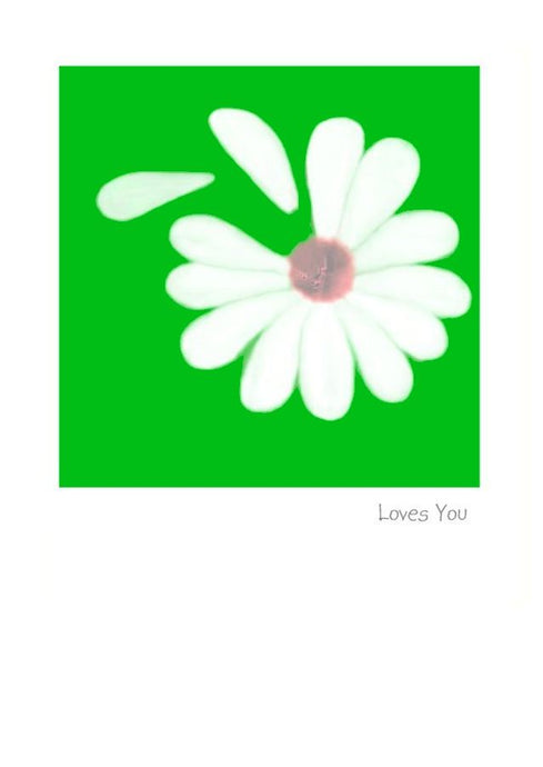 Loves Me Loves me Not - Love petals on greeting card that says loves you.