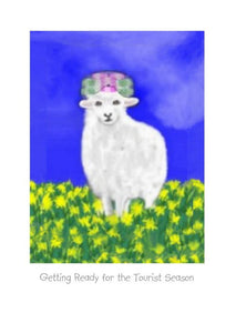 Wholesale Greeting Cards with a sheep wearing curlers.  "Getting ready for the tourist season." Note card by NZ Artist Peter Karsten.