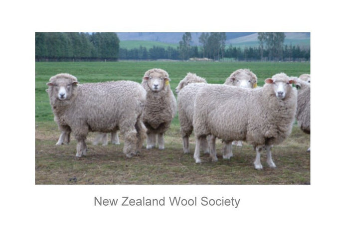 PC20 New Zealand Wool Society