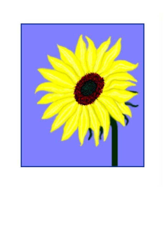 Sunflower on greeting card suitable for all occasions.  Wholesale Greeting Cards from New Zealand.
