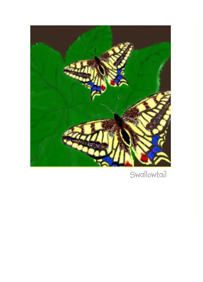 Swallowtail Butterfly Greeting Card or note card for all occasions