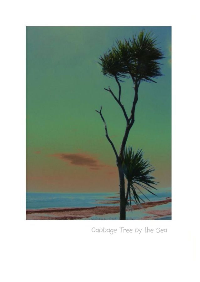 Artistic impression of a Cabbage Tree by the sea by NZ Artist Peter Karsten. Wholesale Suppliers of art Cards, notes cards and greeting cards.