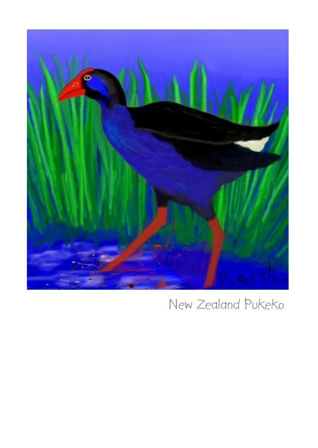 New Zealand Pukeko by NZ Artist Peter Karsten.  Wholesale Greeting Cards.