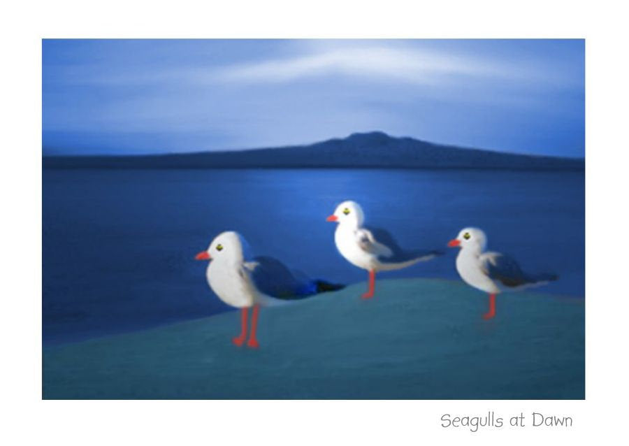 Seagulls at Dawn.  Greeting card, note card, art card by New Zealand Artist Peter Karsten.  Seagulls overlooking Rangitoto.